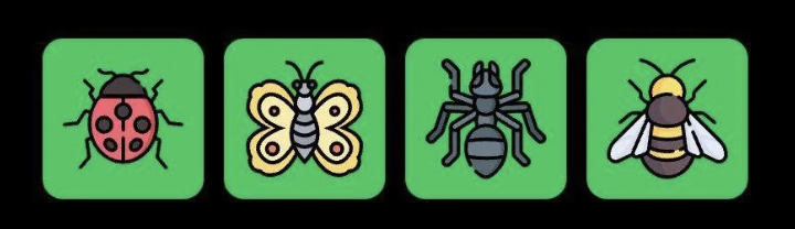 FLIES Daily Combo 14 June 2025